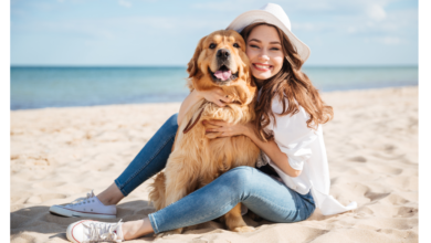 Dog-friendly Vacations On East Coast | Travel Guide