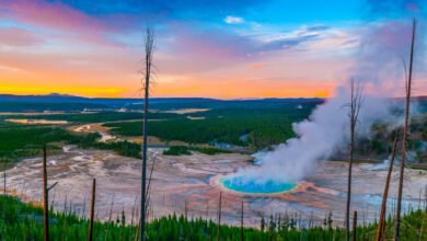Things To Do On Yellowstone Lake | Full Travel Guide