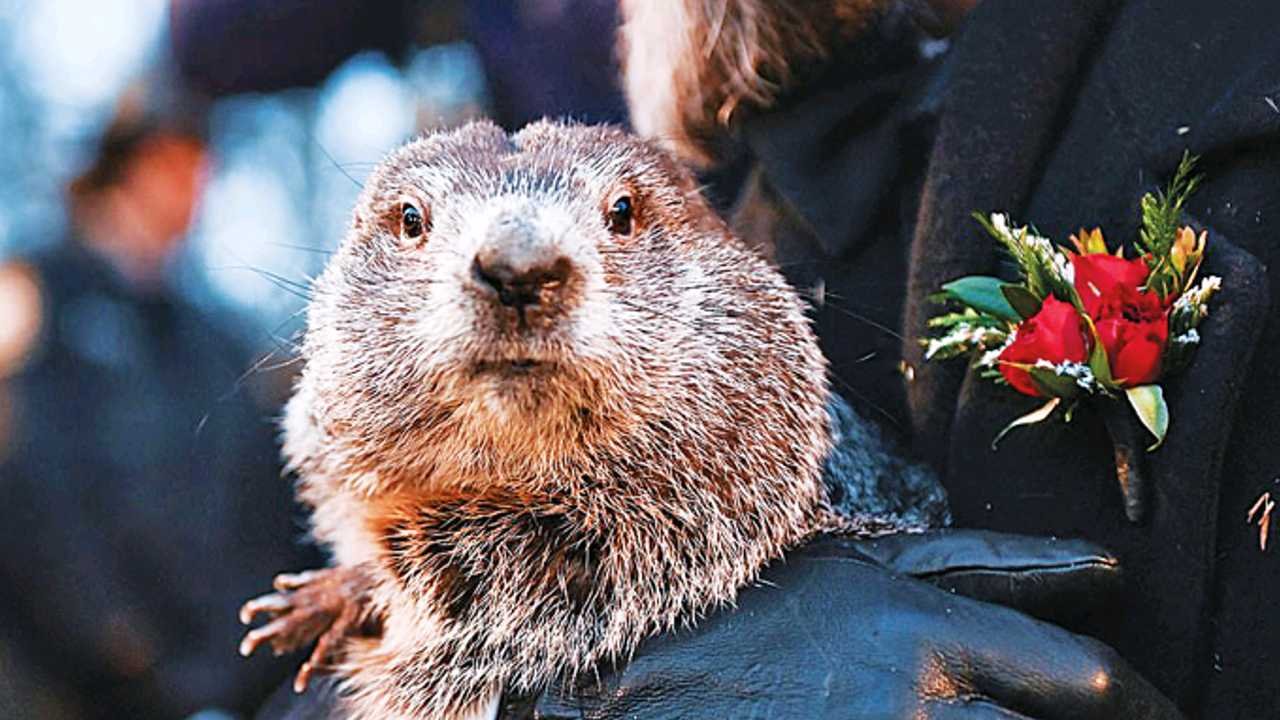 what the story behind groundhog day